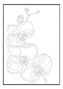 Coloring Page Orquídeas